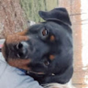 Meet your Posher, Audrey